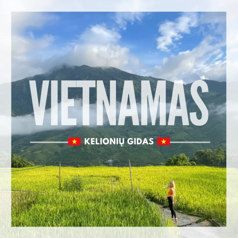 Vietnamo gidas