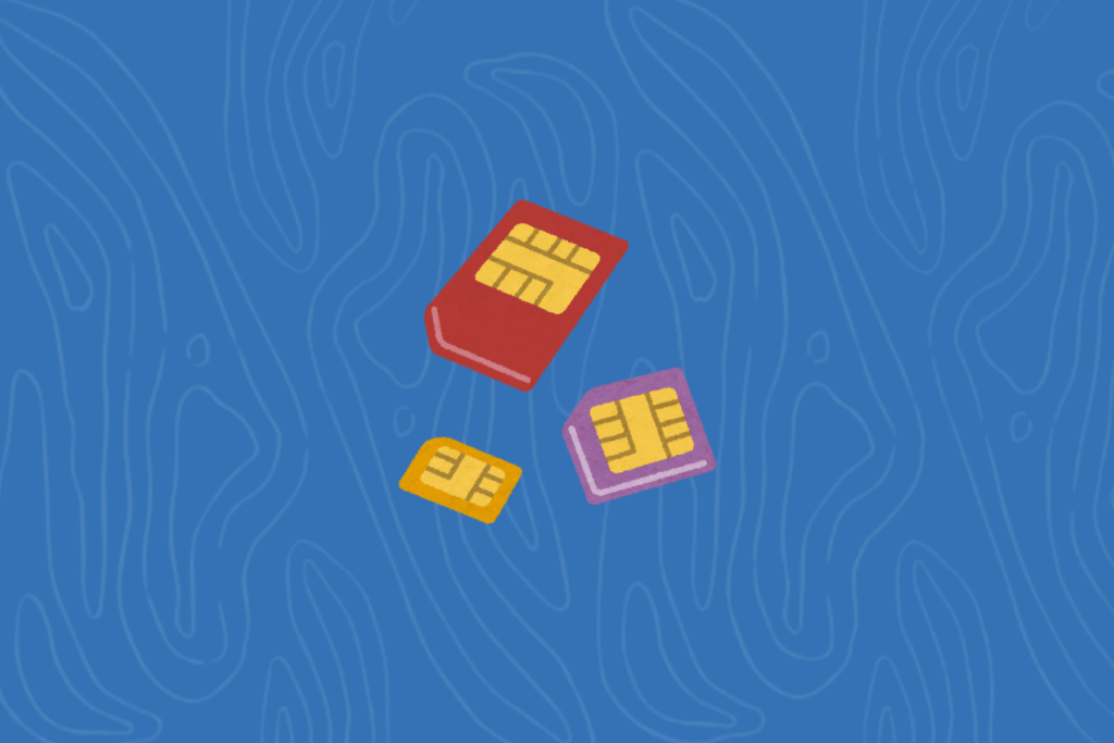 Esim kortelės